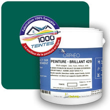 Charger l&#39;image dans la galerie, Image générée par 1000-teintes.com - Le meilleur de la peintures en ligne !
