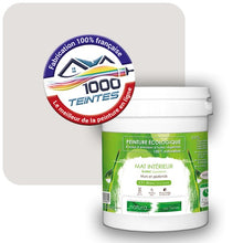 Charger l&#39;image dans la galerie, Peinture écologique Natura Tassili® Les minérales Mica (Natura Ethnic NE-037) Intérieur MAT
