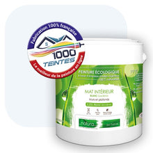 Charger l&#39;image dans la galerie, Peinture écologique Natura Tassili® Les minérales Pierre d&#39;Alun (Natura Ethnic NE-040) Intérieur MAT
